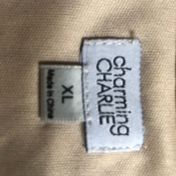 NWT Maxi Dress by Charming Charlie - Picture 6 of 6